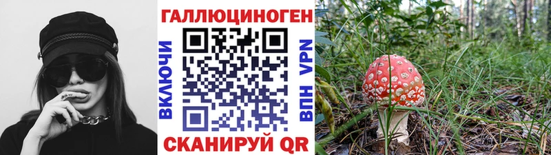 Псилоцибиновые грибы Cubensis наркошоп кракен ONION Тында